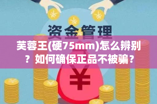 芙蓉王(硬75mm)怎么辨别？如何确保正品不被骗？